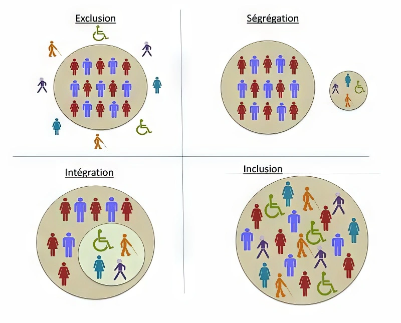schema societe inclusive