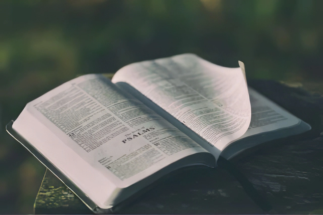 Bible Psaumes
